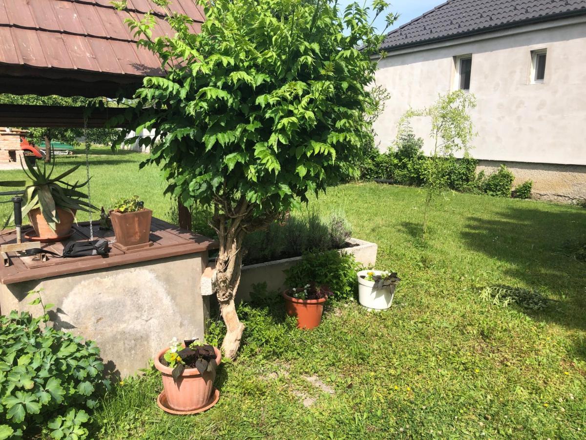 Elvira Vendeghaz Appartement Kisbodak Buitenkant foto