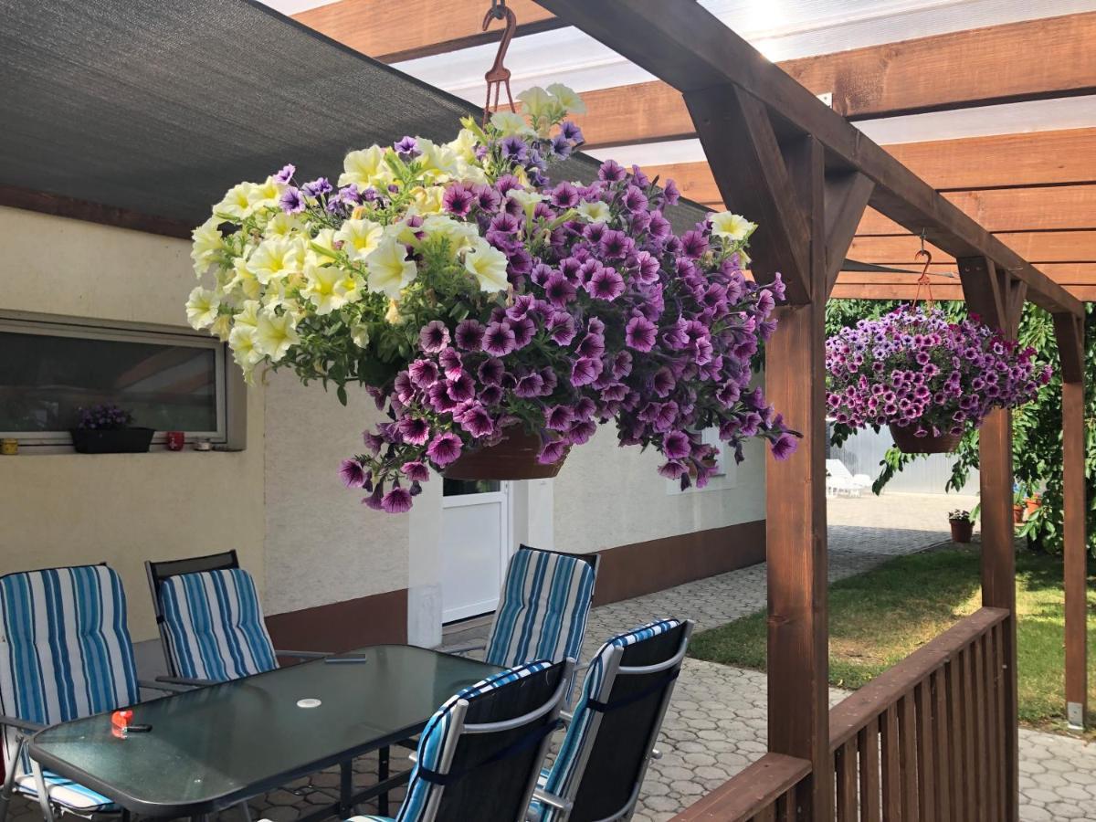 Elvira Vendeghaz Appartement Kisbodak Buitenkant foto
