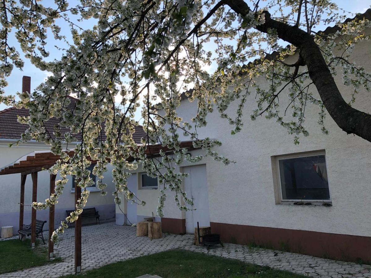 Elvira Vendeghaz Appartement Kisbodak Buitenkant foto